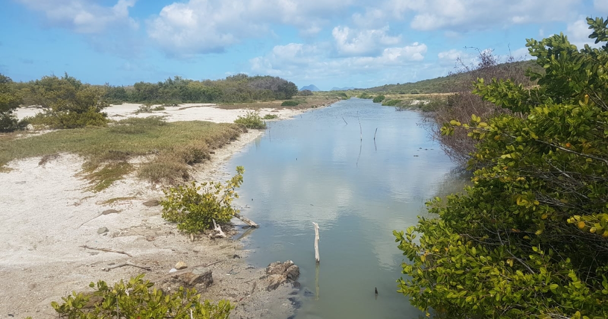     Des associations écologistes et professionnelles se mobilisent contre l'assèchement du canal des Salines

