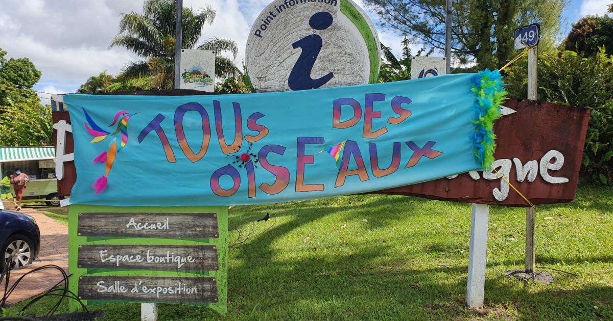     Une exposition "Tous des oiseaux" avec les enfants de Basse-Terre 

