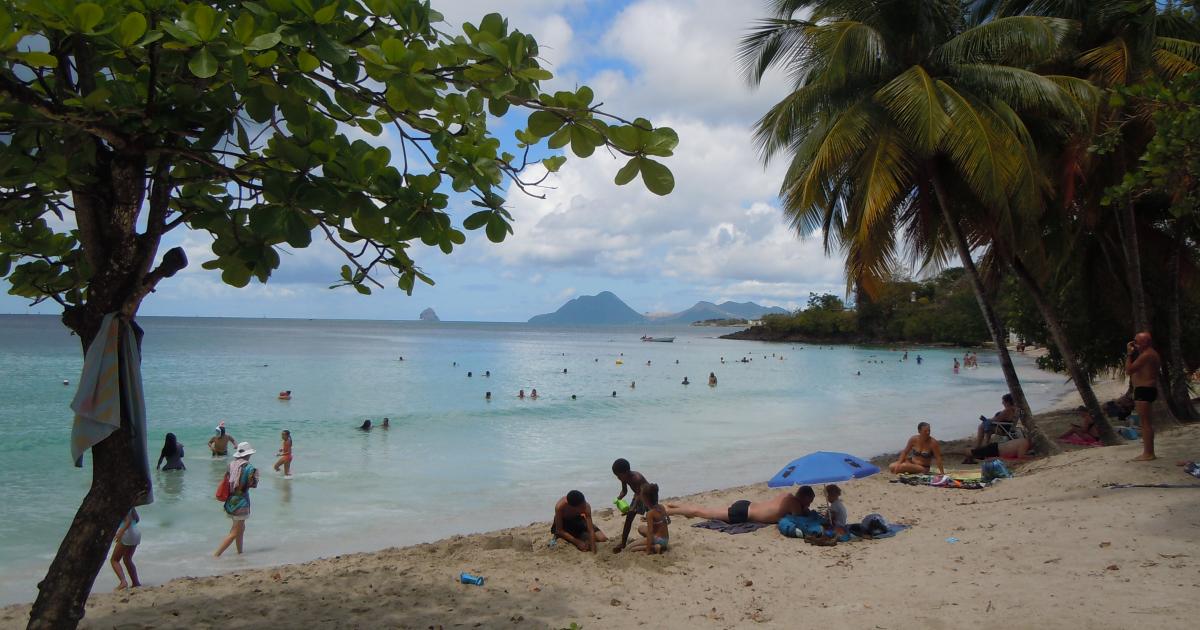     Une femme prise en charge par les secours après avoir été piquée par des méduses à l'Anse Figuier

