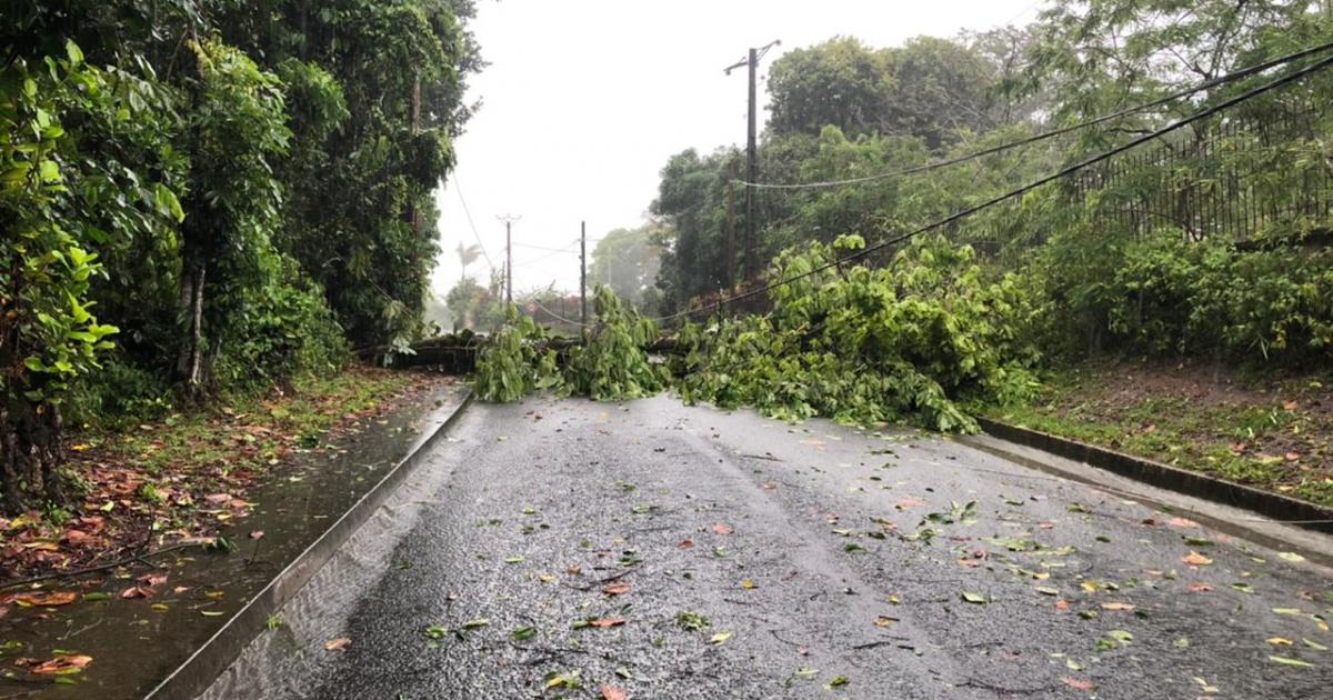     La vigilance rouge est toujours en vigueur en Guadeloupe ce samedi à midi

