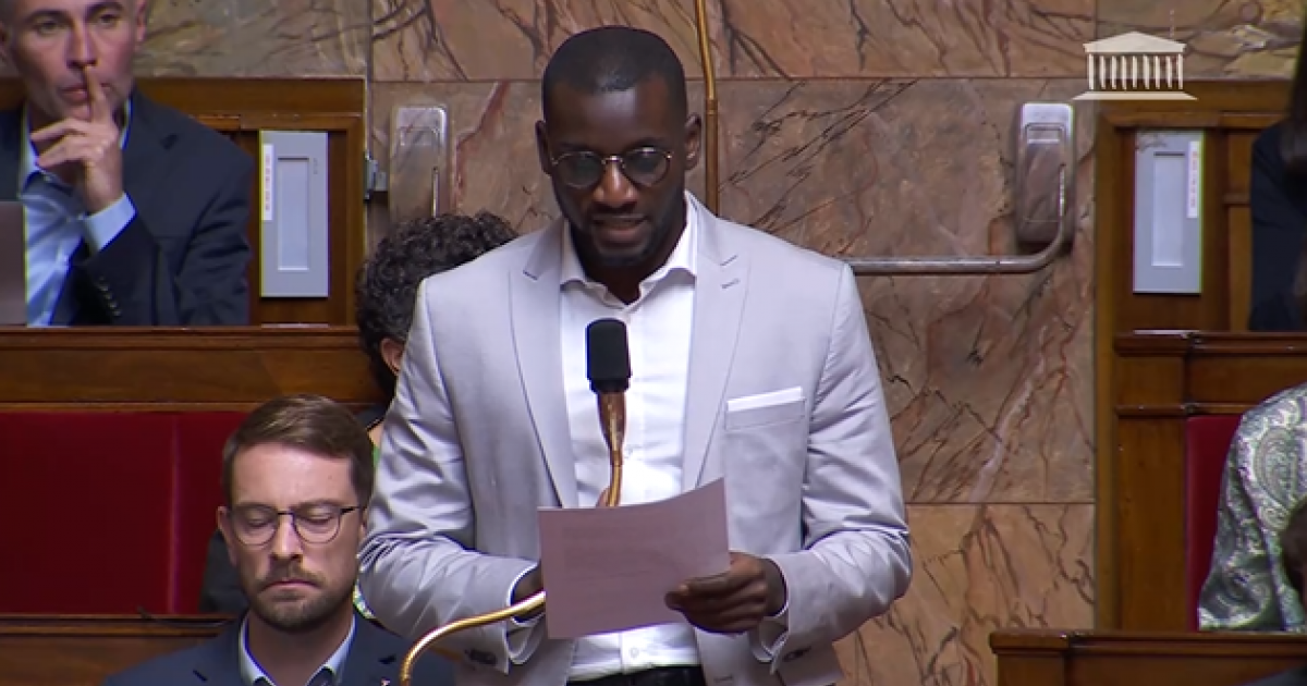     Insulte raciste à l’Assemblée nationale

