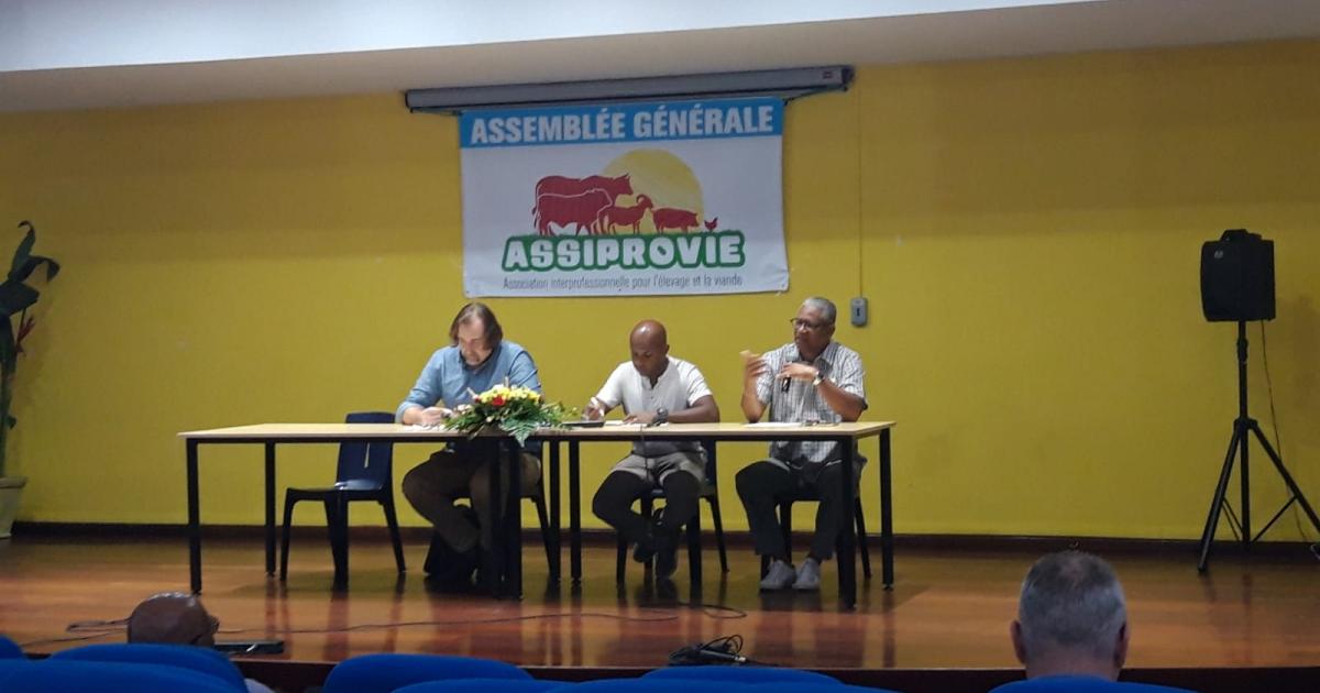     L’ASSIPROVIE veut relancer la filière de l’élevage et de la viande en Guadeloupe

