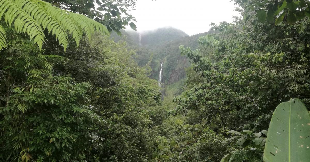     Une femme décède suite à un accident en montagne

