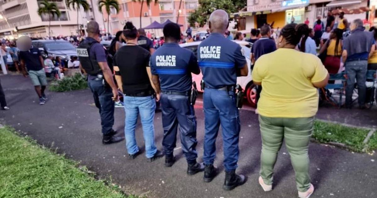     Carnaval : la vente d’alcool et de bouteilles en verre à proximité des défilés sera verbalisée à Pointe-à-Pitre

