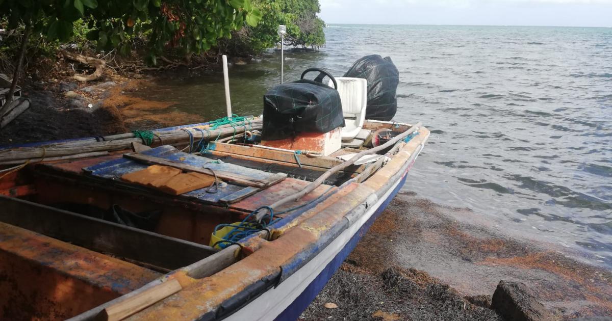     La côte atlantique touchée par les sargasses

