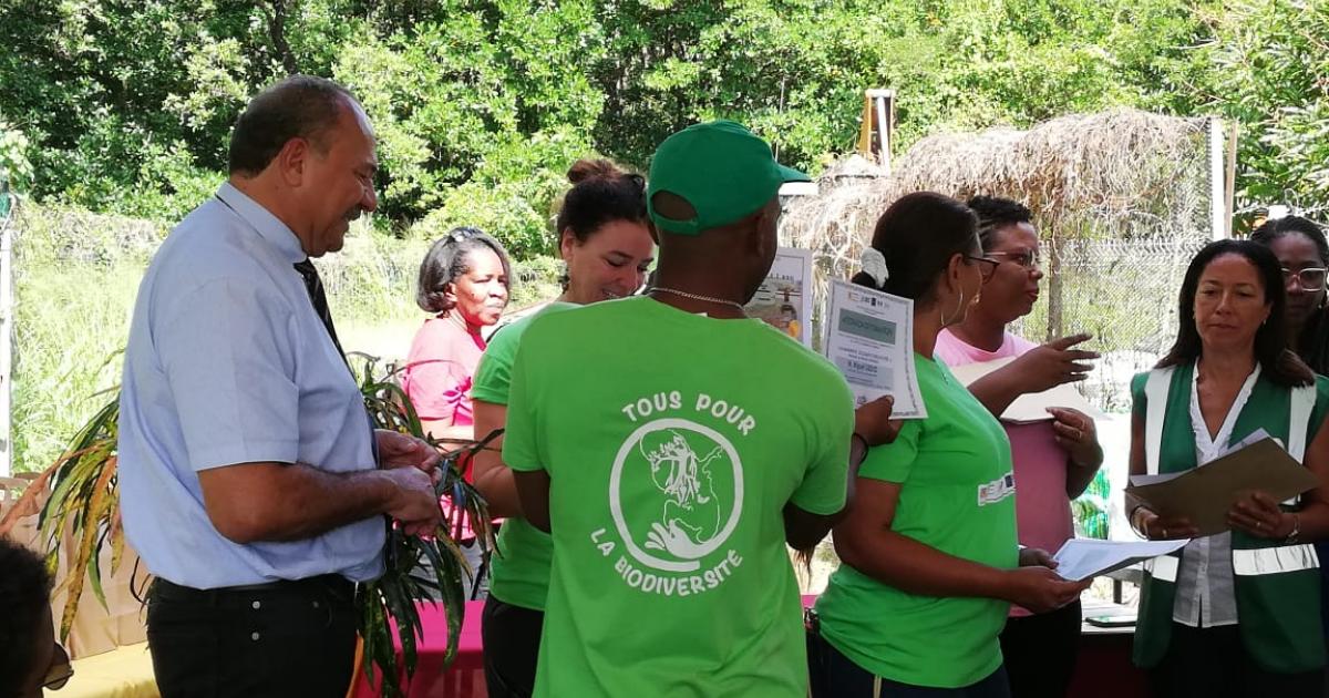     Le projet « Sauver la mangrove à deux pas » fait le bilan

