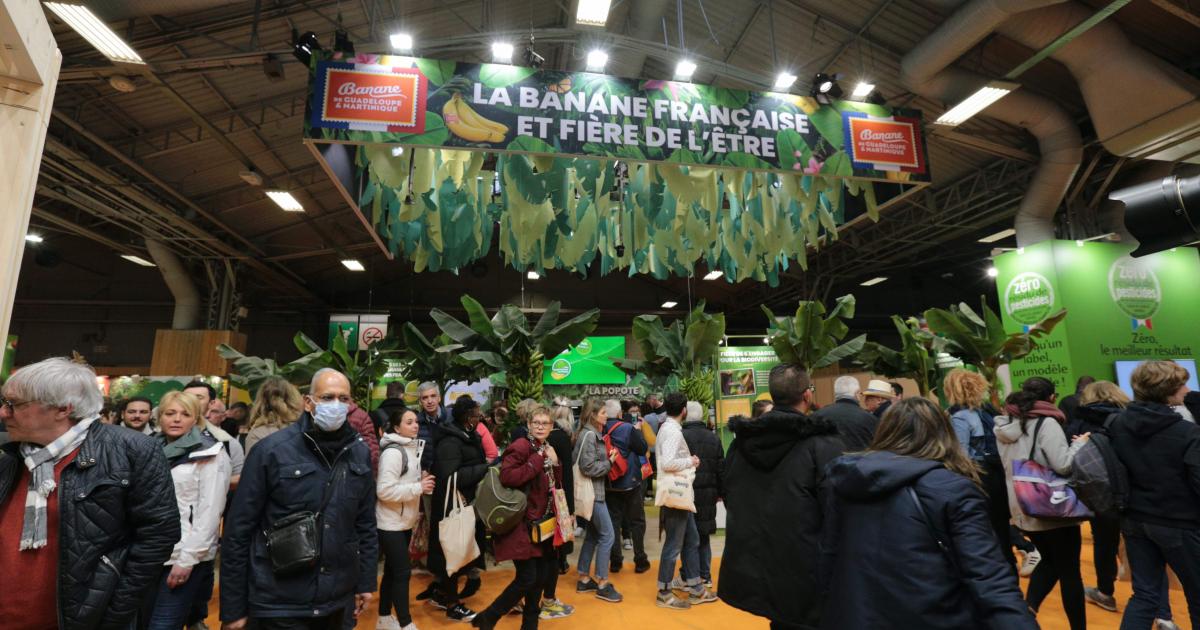     La Guadeloupe fortement représentée au Salon de l’Agriculture

