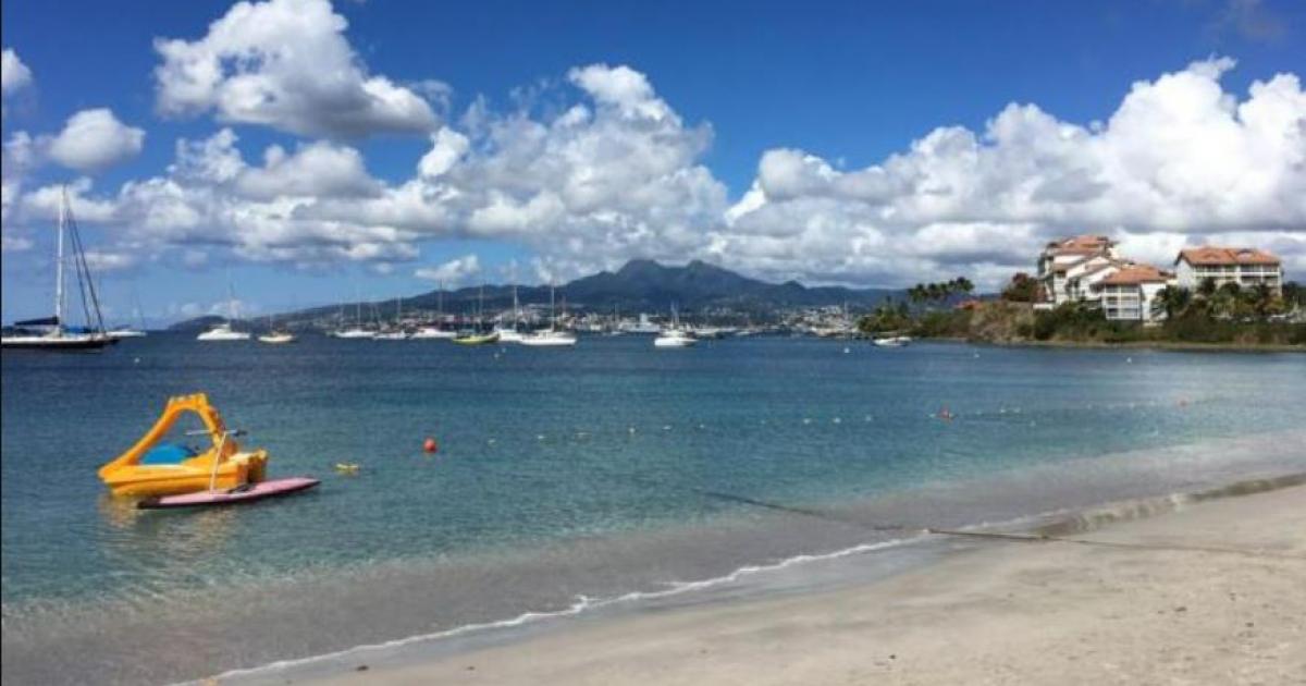     Retour au vert en Martinique, la mer devient peu agitée

