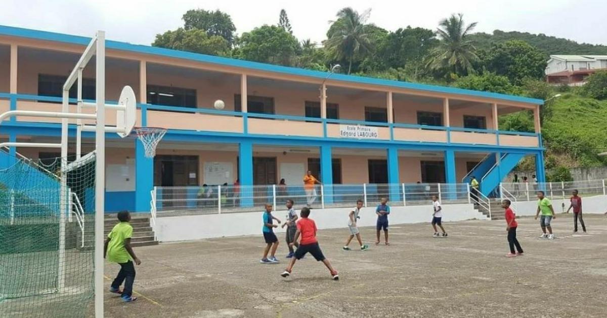     Une école du Robert ferme l'après-midi à cause de la présence des sargasses

