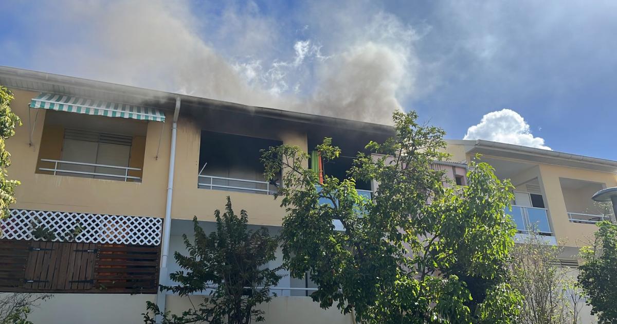     Une femme secourue dans un feu d'habitation à Gourbeyre

