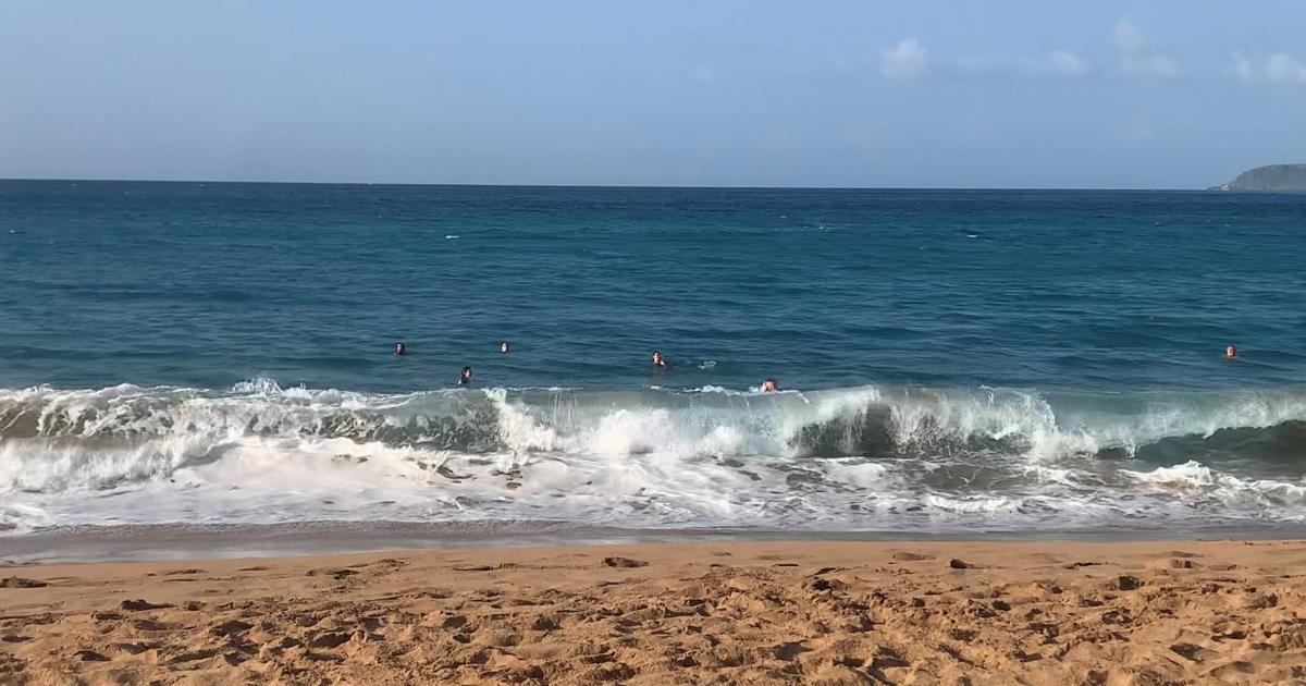     Baignade et activités nautiques interdites sur la plage du bourg de Deshaies

