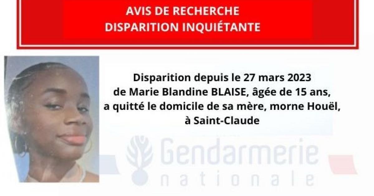     Appel à témoins : avez-vous vu Marie-Blandine Blaise ?

