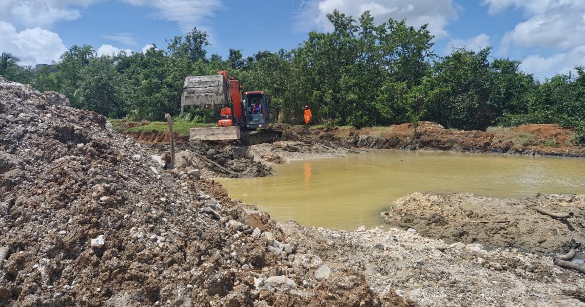     [En images] Des travaux pour redonner vie à la mangrove de Jarry

