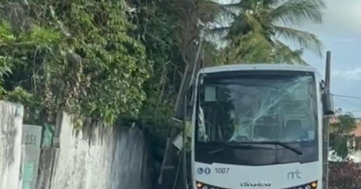     Un bus percuté par la chute d'un poteau téléphonique sur la route de Redoute

