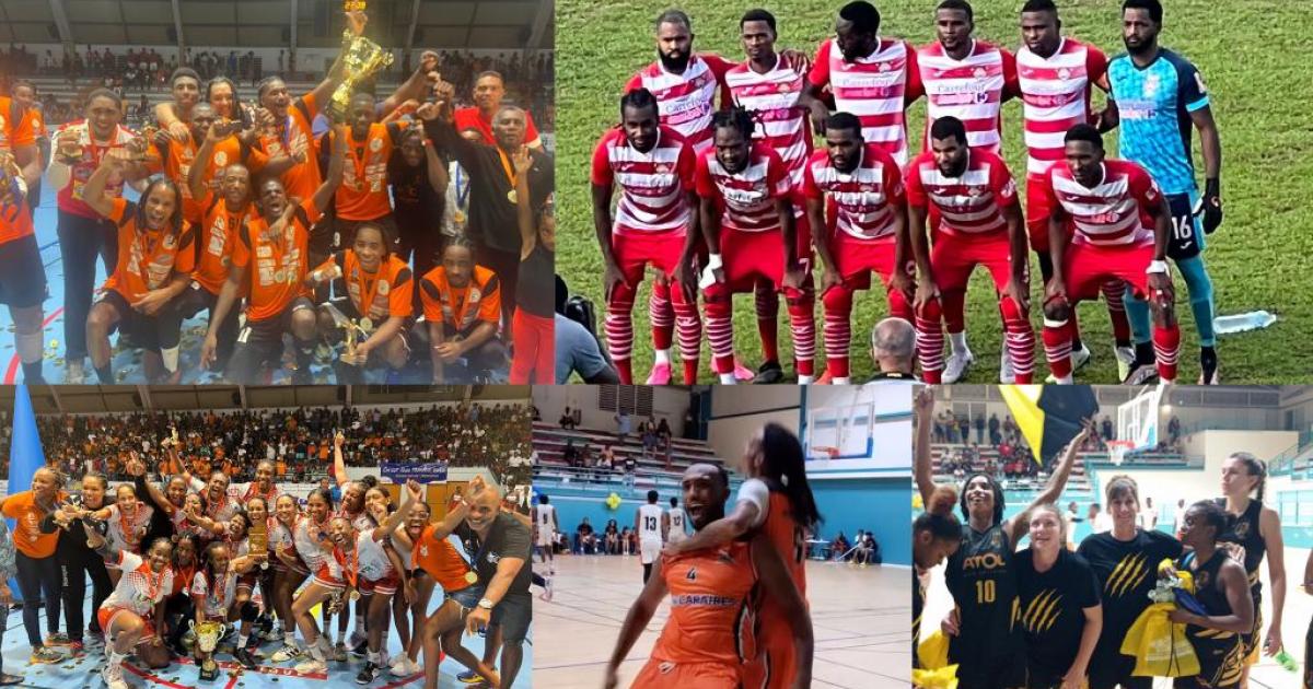     Football, handball, basket-ball : les champions du week-end !

