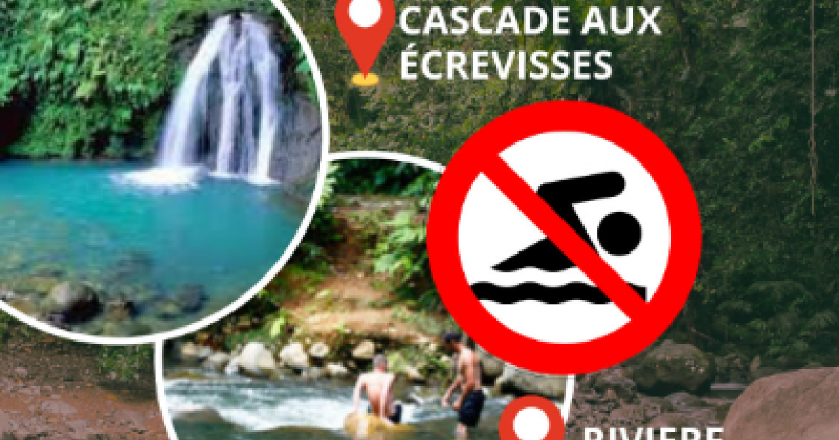     La baignade est temporairement interdite à Bras David et à la Cascade aux écrevisses

