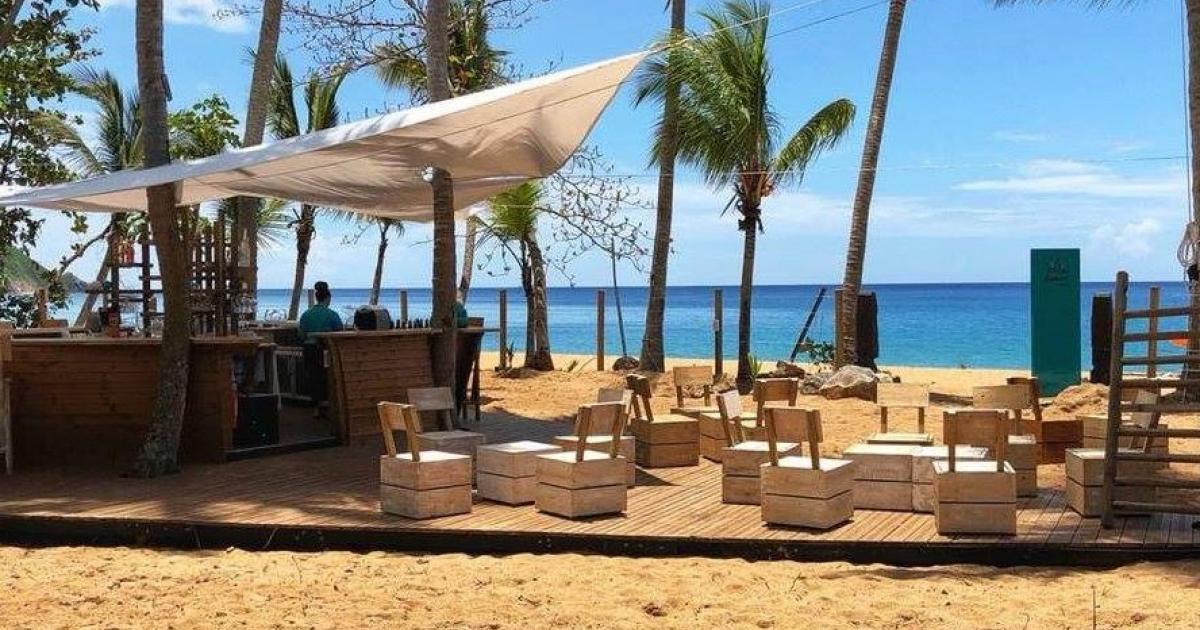     En Guadeloupe, un restaurant condamné à 375 000 euros pour destruction d’un site de ponte de tortues marines

