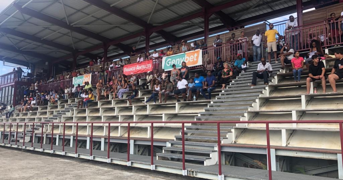     La société des courses de la Martinique dispose d'un nouveau conseil d'administration

