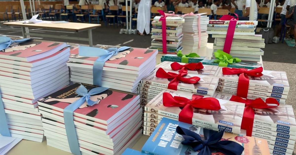     À Godissard, des livres distribués gratuitement aux élèves

