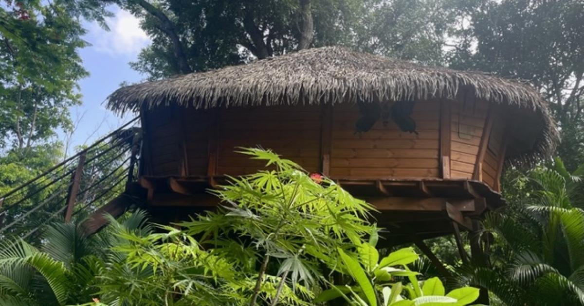     [VACANCES INSOLITES 2/4] Séjourner dans une cabane dans les arbres au milieu de la forêt 

