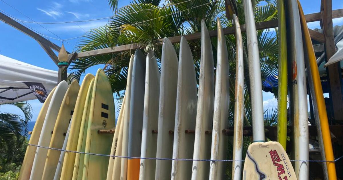« Kooks Cup » à Tartane : l’élection du pire surfeur