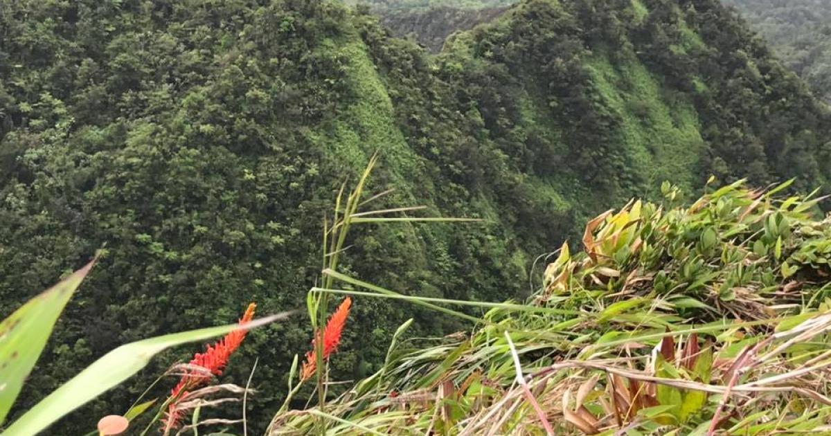     Pelée et Pitons du Nord à l’Unesco [2/5] : un effondrement à l’origine des Pitons !

