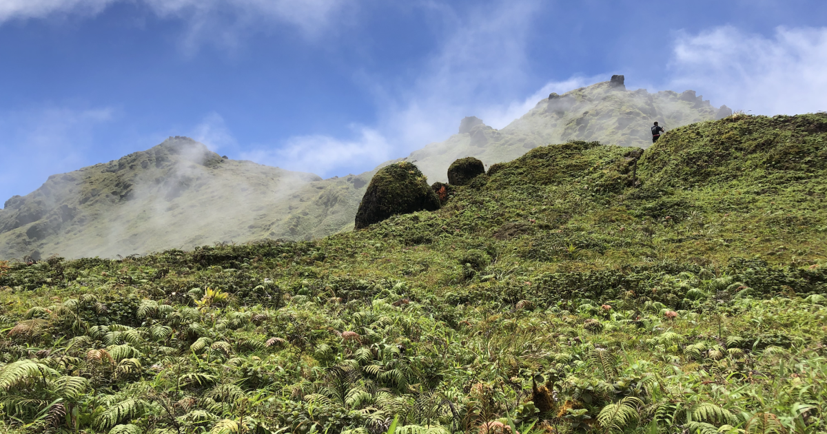     Pelée et Pitons du Nord à l’Unesco [5/5] : la candidature en chiffres

