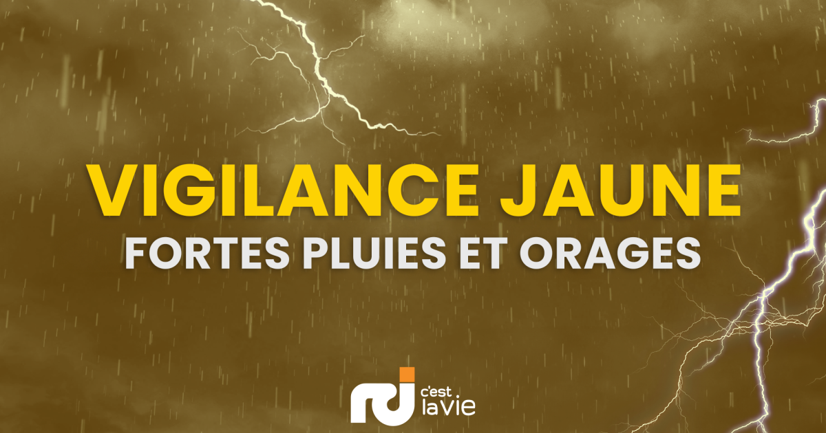     Vigilance JAUNE pour fortes pluies et orages ainsi que vagues et submersion

