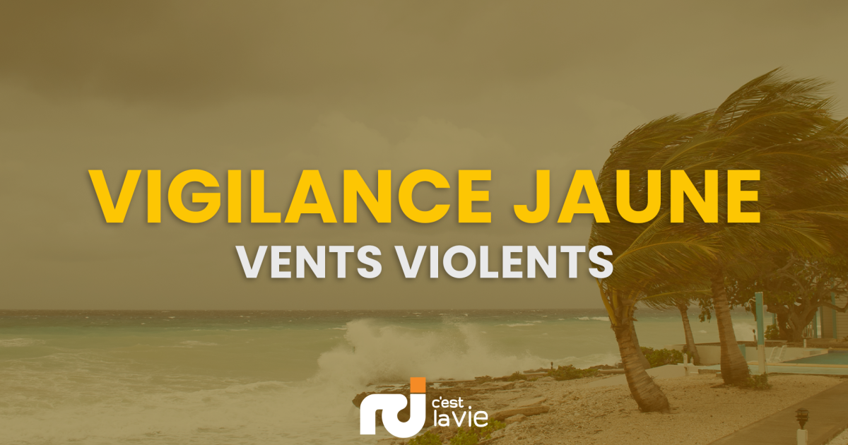     Pluies et orages, houle, vents violents : la Guadeloupe en vigilance jaune

