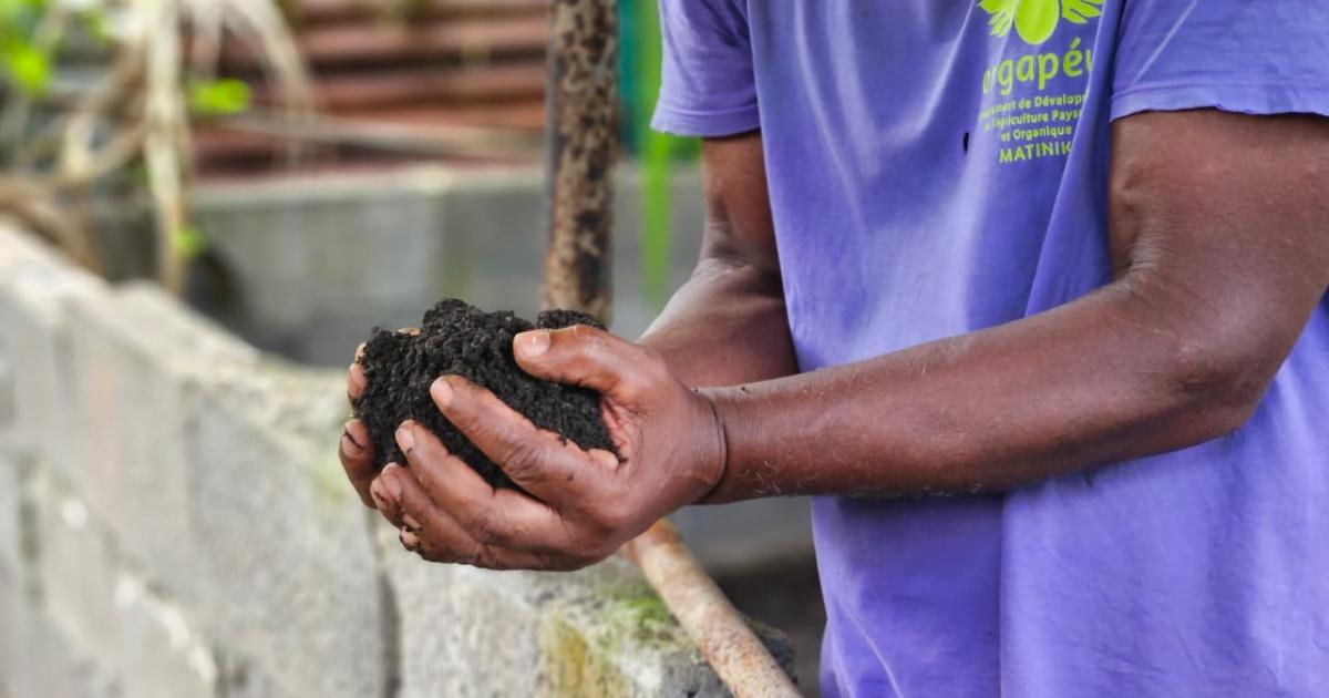     Un séminaire pour une agriculture attractive et durable en Martinique

