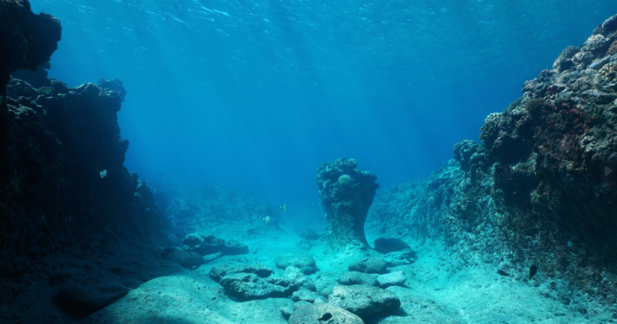     Canicule marine : les températures des mers et des océans battent des records

