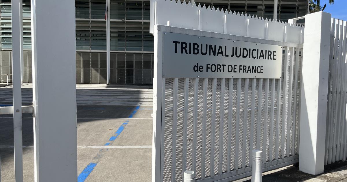     Cocaïne, crack, cannabis et armes : jusqu’à 11 ans de prison contre 10 prévenus

