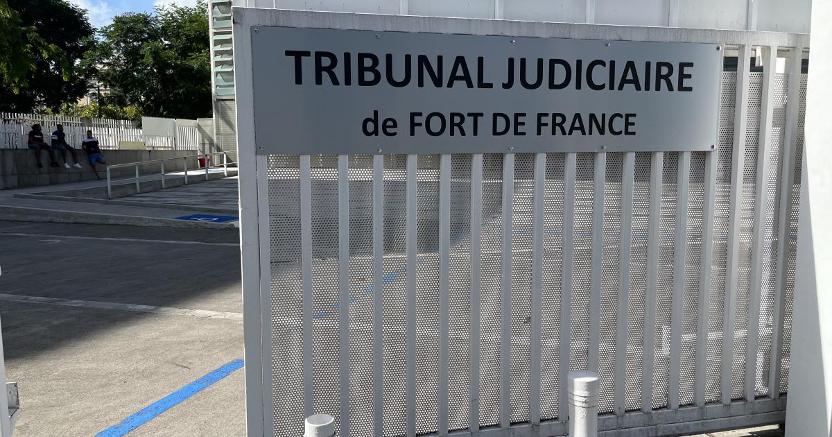     Trafic à la prison de Ducos : deux surveillants pénitentiaires placés en détention provisoire

