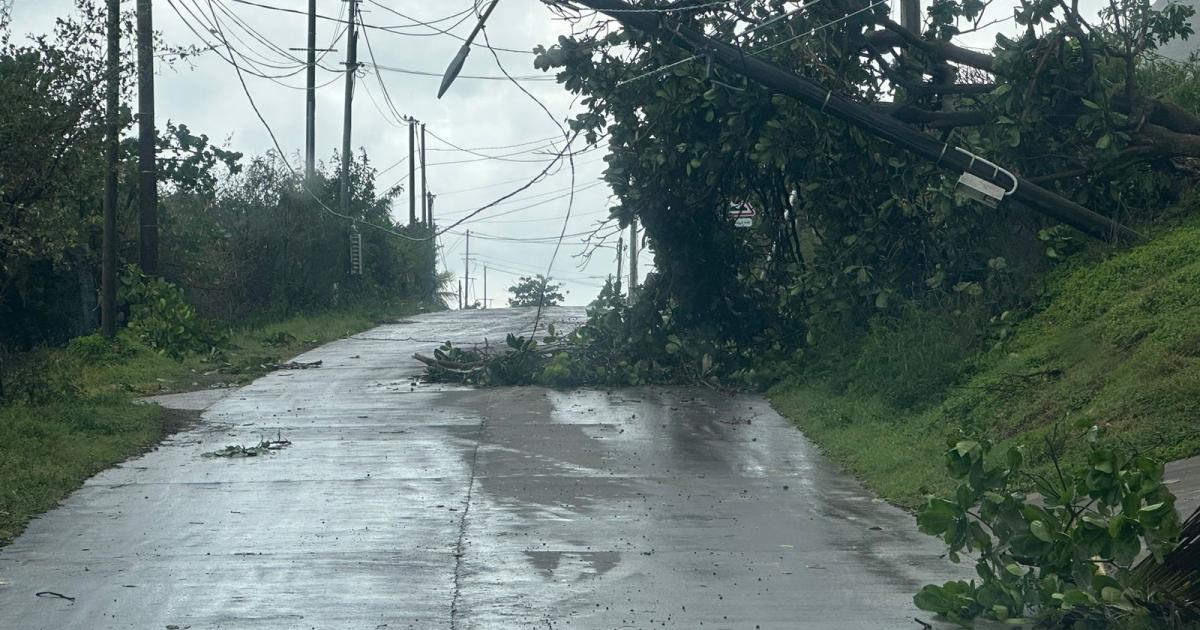     [EN IMAGES] À la Désirade balayée par l’ouragan « Tammy », les habitants découvrent les dégâts

