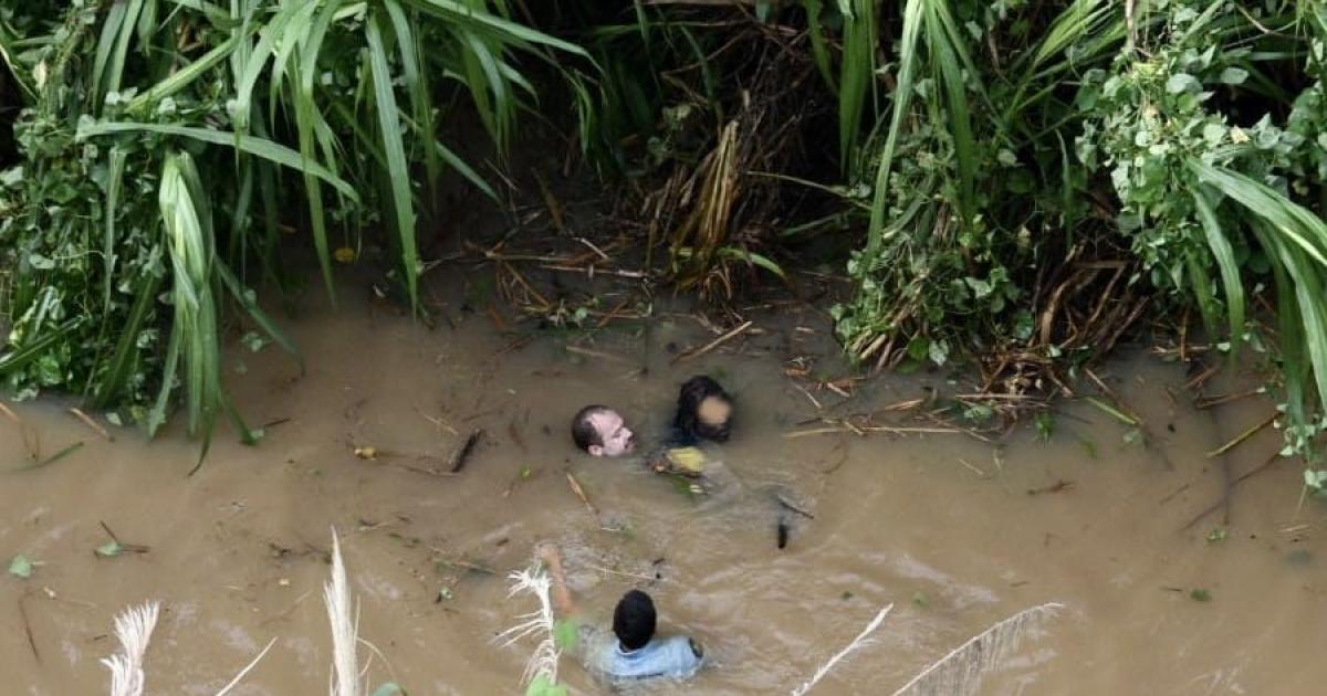     Les gendarmes sautent dans la mangrove et… sauvent un trafiquant présumé

