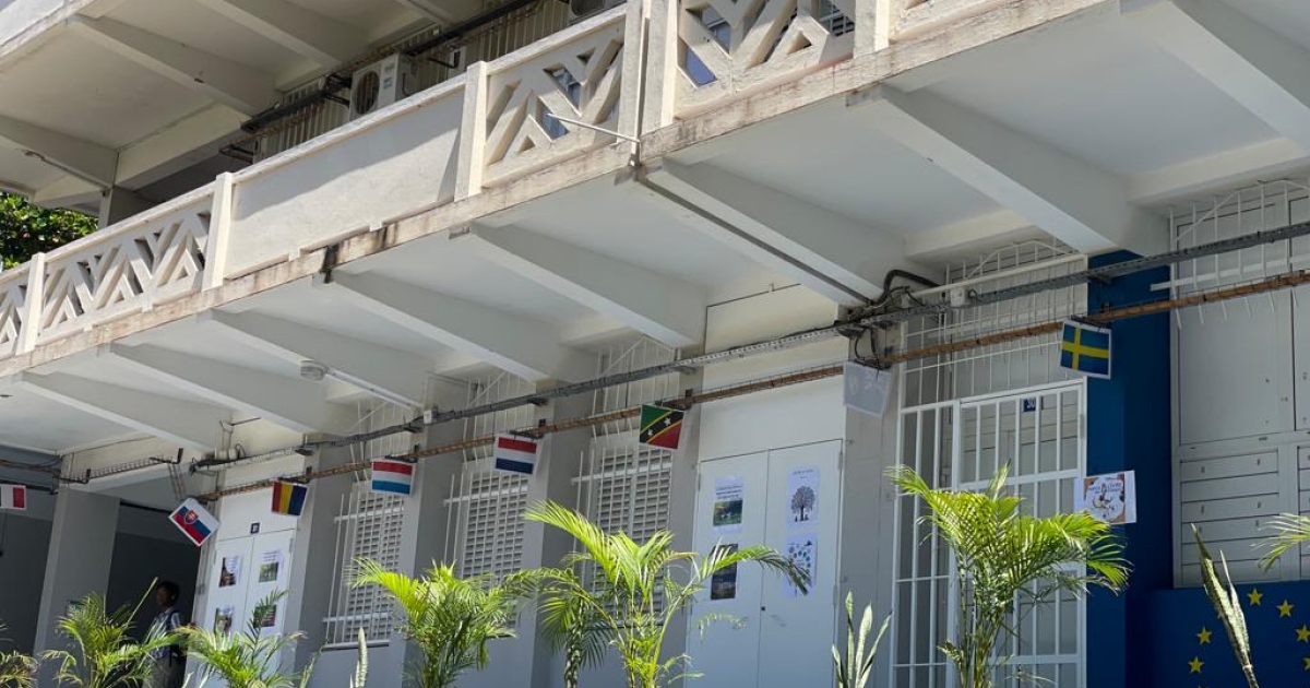     "C'est une véritable saignée" : 82 suppressions de postes annoncées dans l'académie de Martinique à la rentrée 2026

