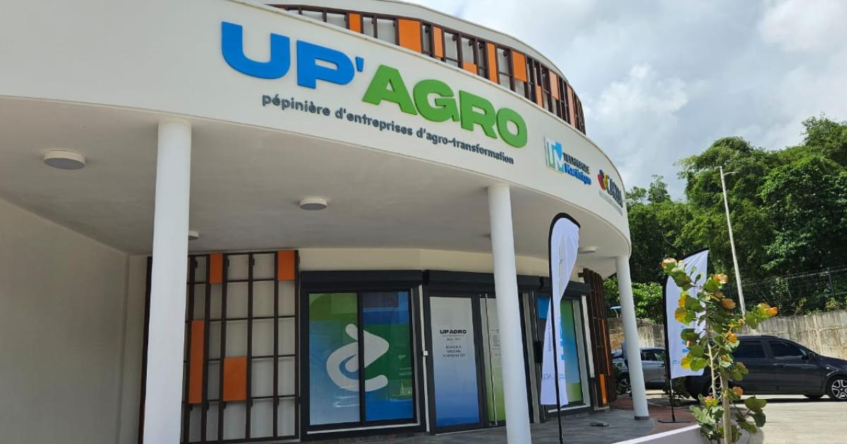     « Up Agro », un nouvel outil pour les entrepreneurs en agro-transformation

