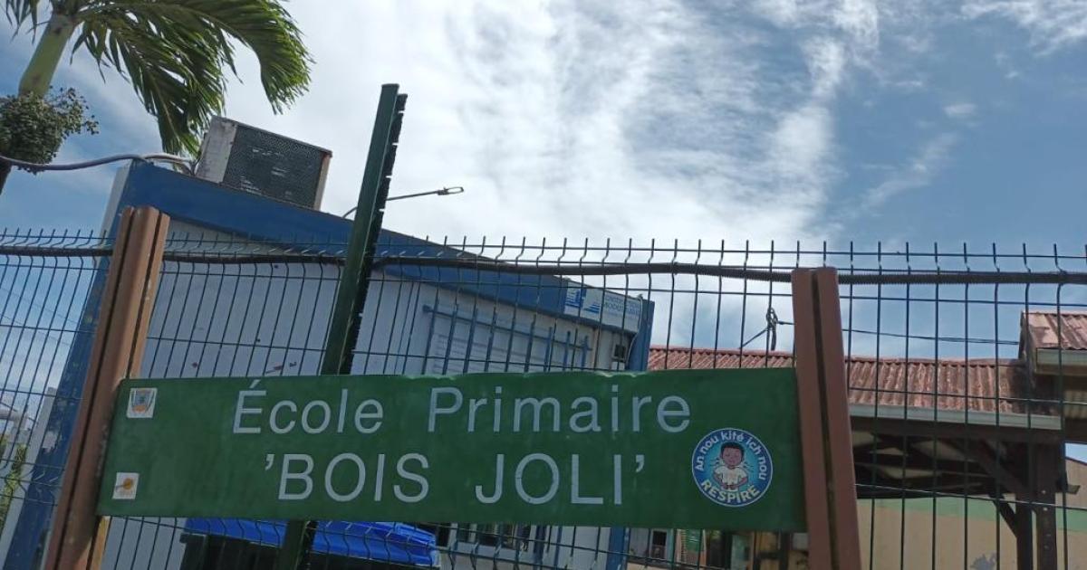     Agression d'un enseignant et du directeur de l'école de Bois Joli au Gros-Morne

