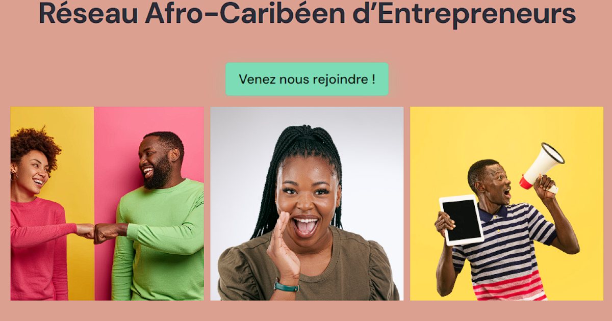     Un réseau afro-caribéen d'entrepreneurs voit le jour en ligne

