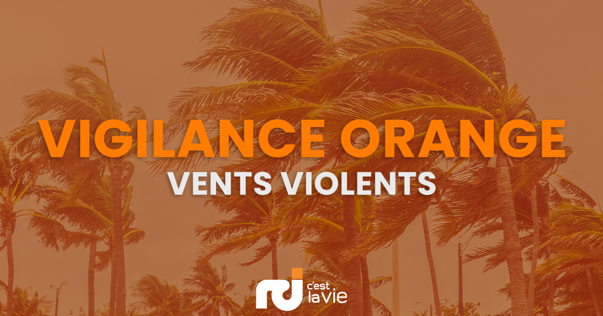     Ouragan « Tammy » : la Martinique passe en vigilance Orange pour « vents violents »

