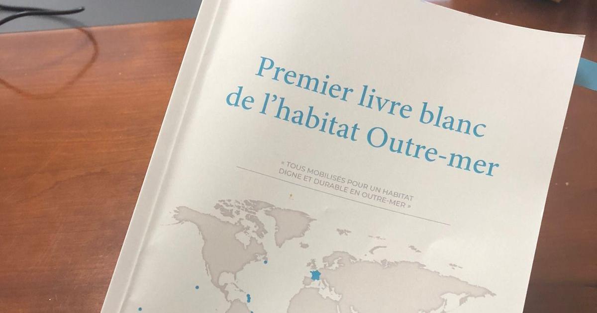     Premier livre blanc sur l'habitat Outremer : une initiative pour réduire les retards

