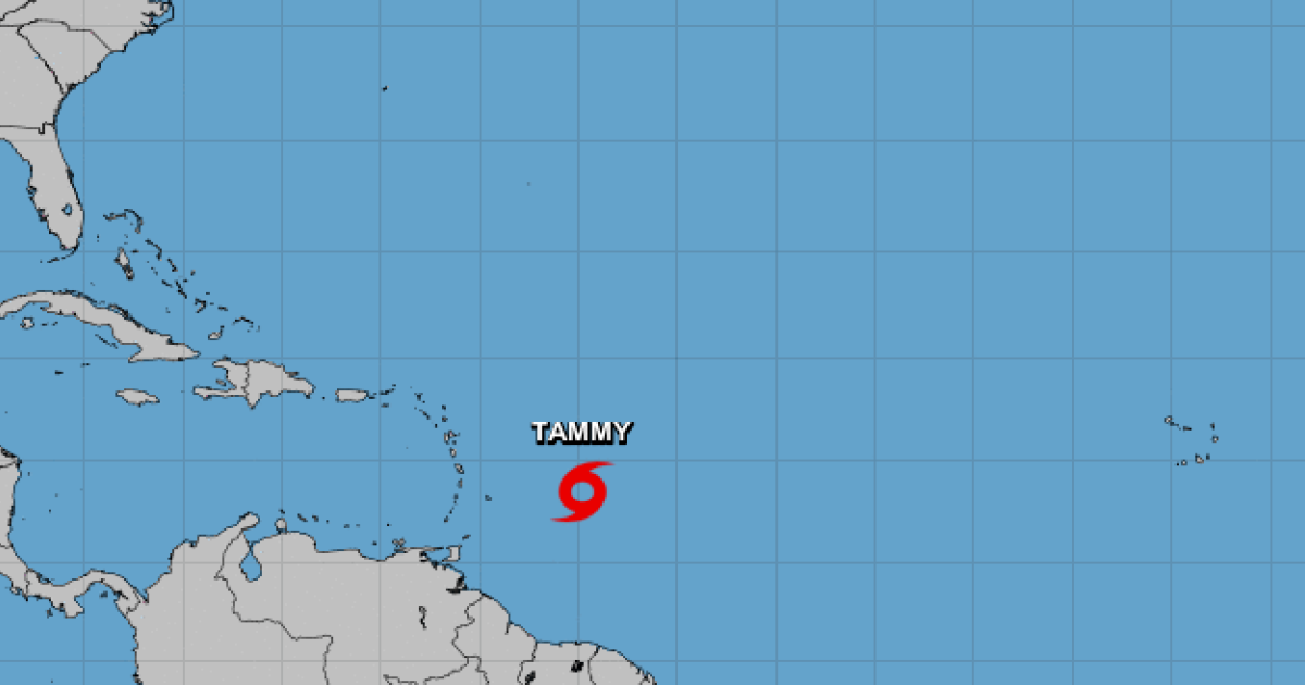     Alerte jaune Cyclone : Le point sur la tempête tropicale Tammy

