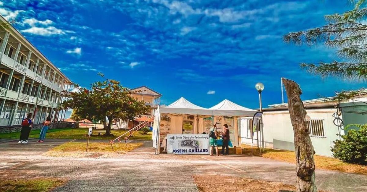     Débrayage des agents territoriaux au Lycée Joseph Gaillard à Fort-de-France

