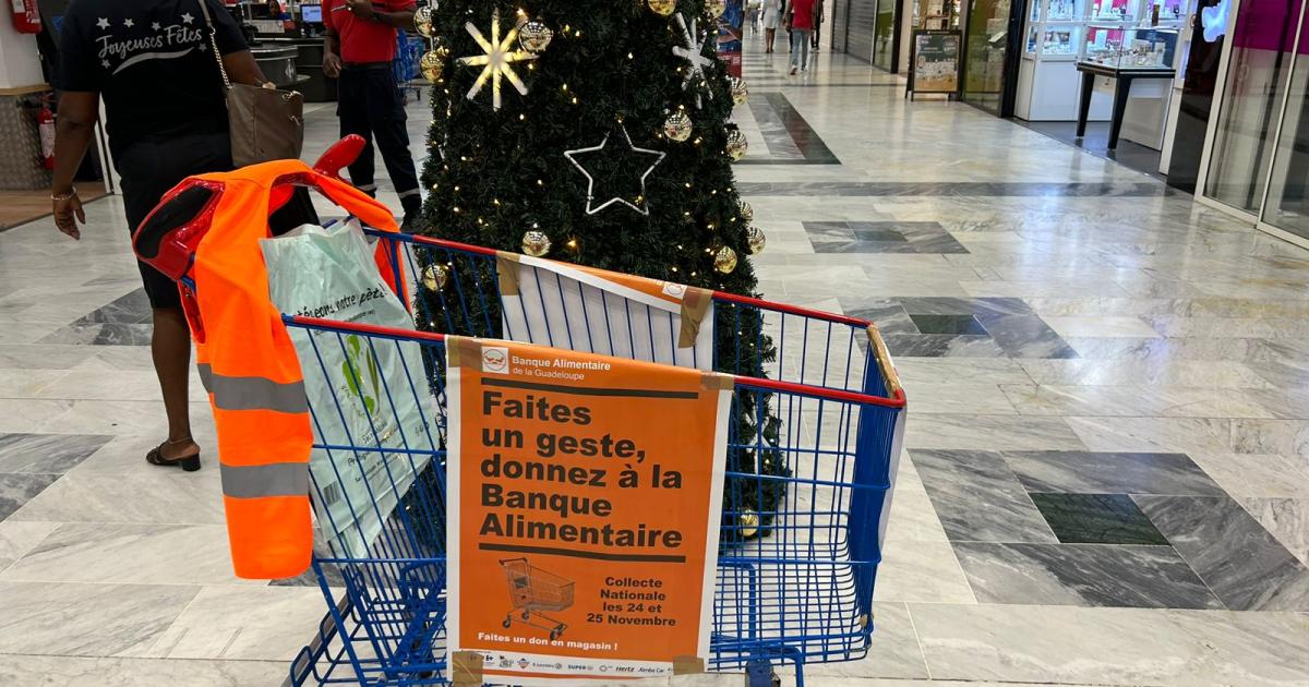     « La Banque Alimentaire de Guadeloupe a plus de 9000 foyers en 1 an »

