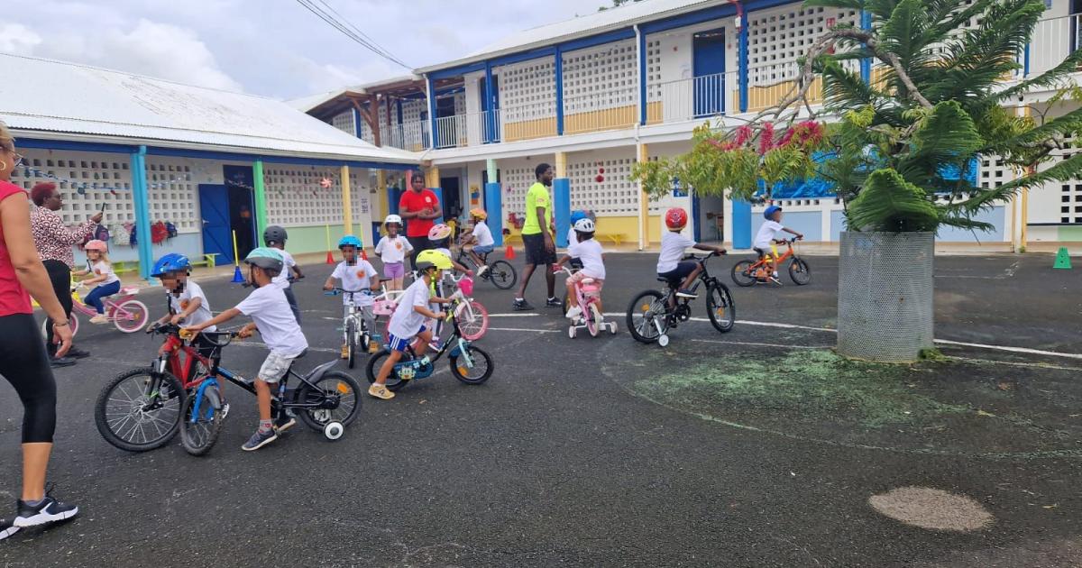     « Savoir rouler à vélo » : près de 3000 attestations délivrées en Guadeloupe en 2 ans

