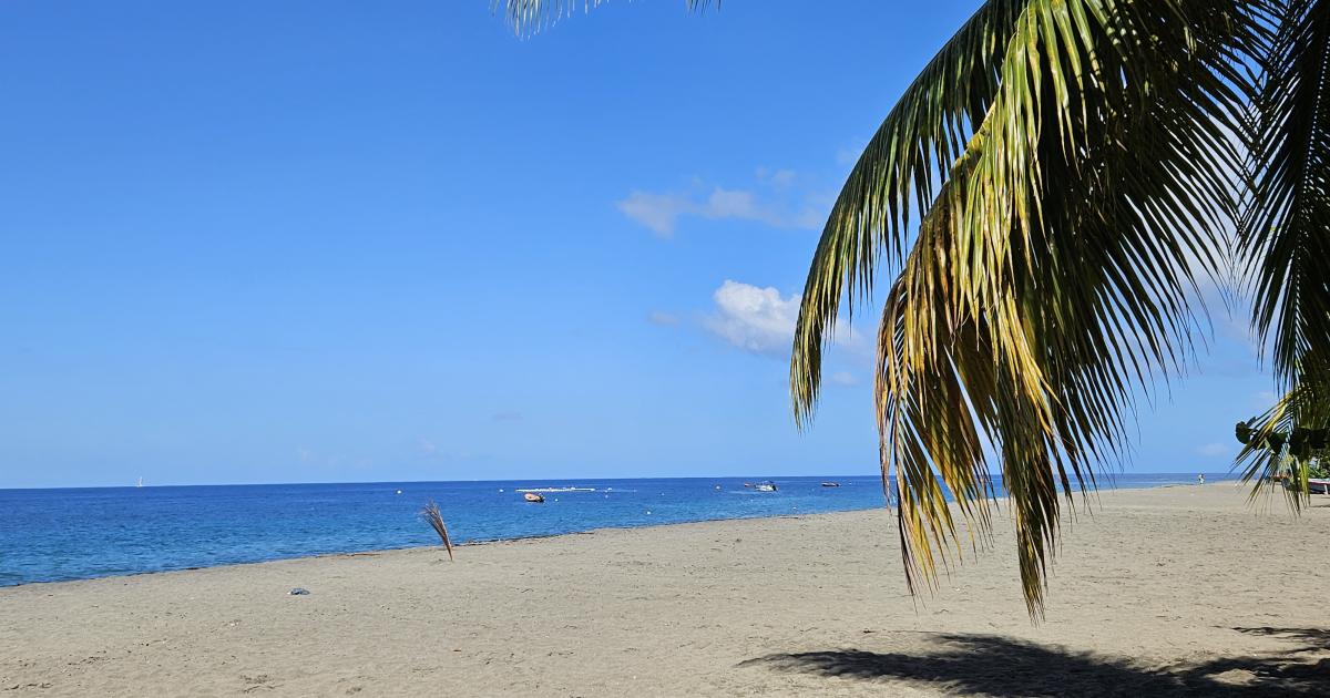     Décembre au soleil : les Antilles françaises parmi les destinations phares

