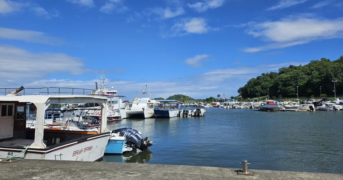     Insécurité à la Marina du François : le ras-le-bol des plaisanciers

