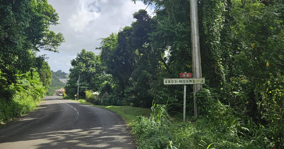     Décès d’une fillette : une cellule d’accompagnement mise en place au Gros-Morne

