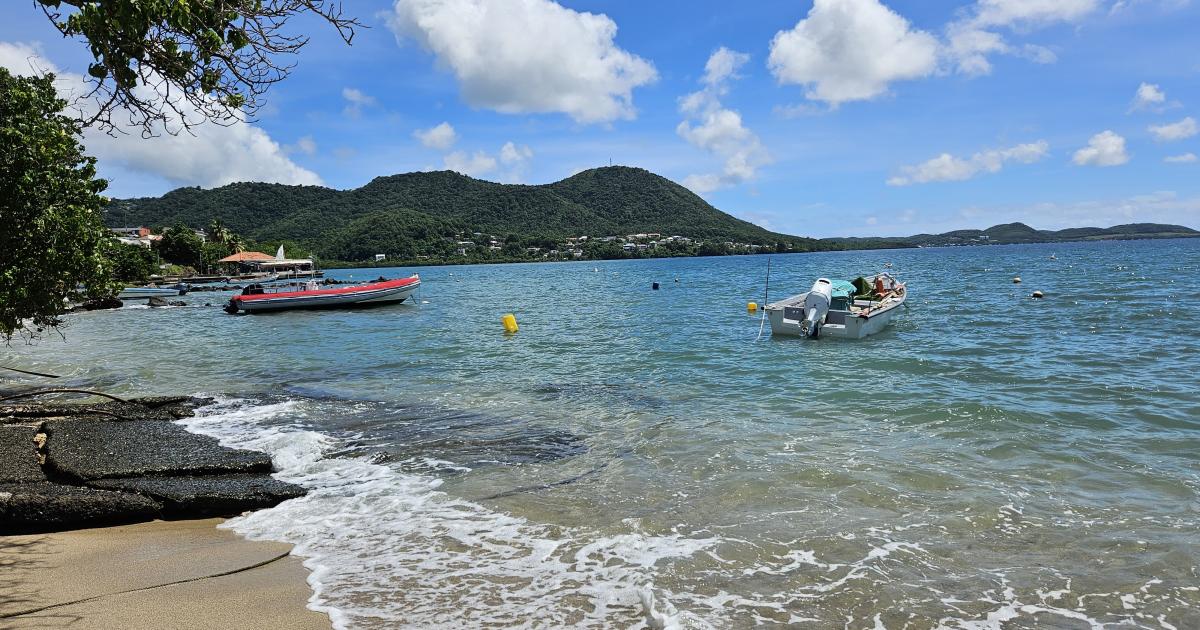     3 noyades en ce début d’année, quelle sécurité en mer ?

