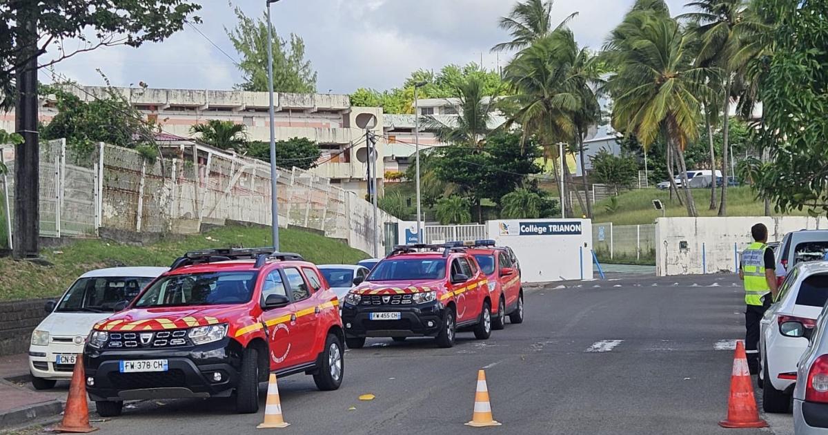     Une alerte à la bombe au collège Trianon du François

